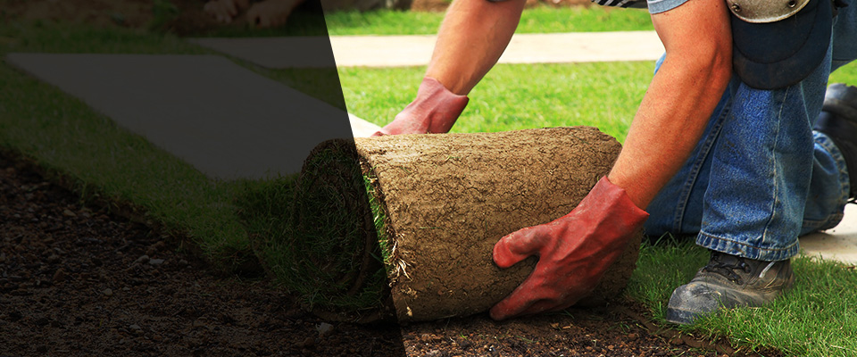 Pierce Landscapers
